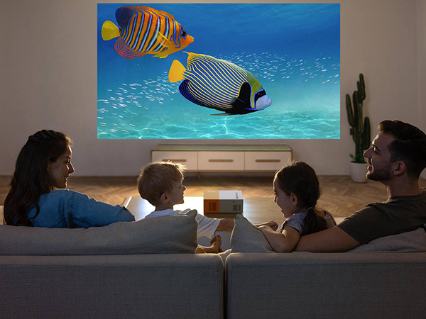 PVO Projector Family Gatherings