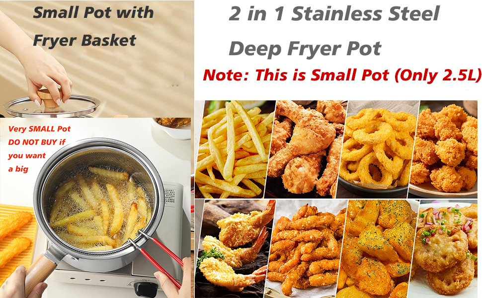 Small Fryer Pot