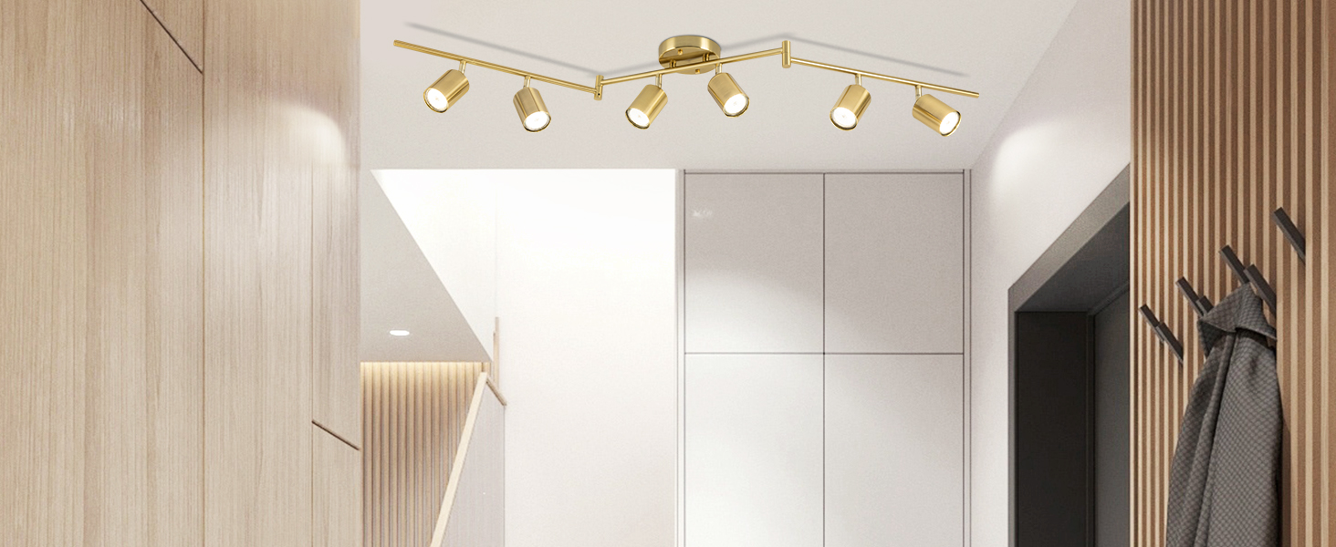 6 Ways Track Lighting Gold