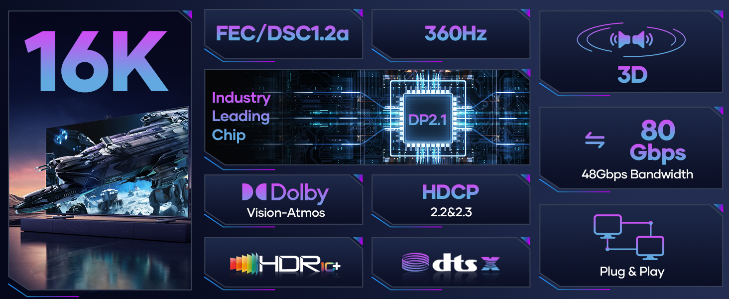 display port