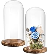 Mezchi 2 Pack Glass Cloche Display Dome, 9.8x4.7 inch Decorative Glass Display Bell Jar, Clear Gl...