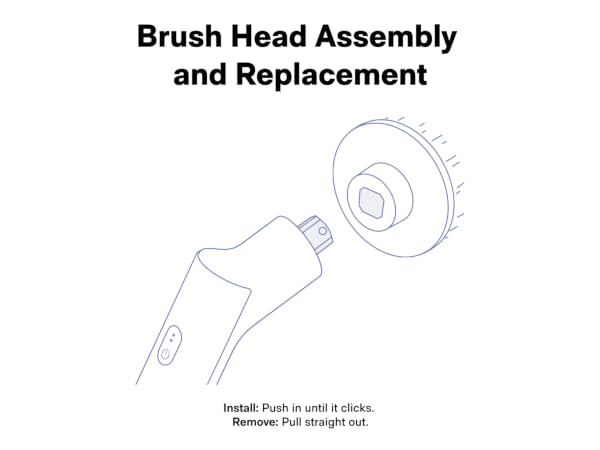 Brush Head Assembly and Replacement