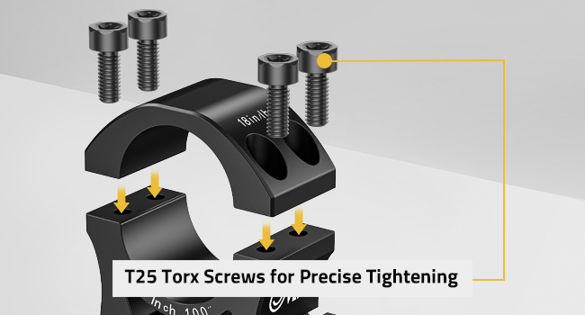Precise T25 Torx screws