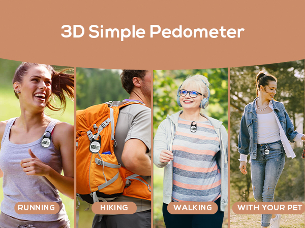pedometer
