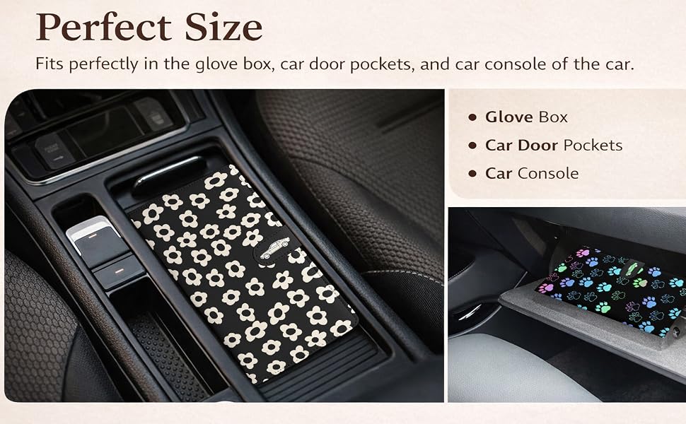 Car Registration and Insurance Holder