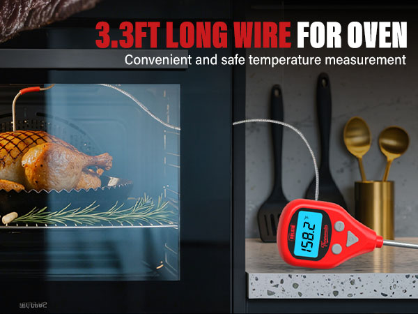 leave in meat thermometer