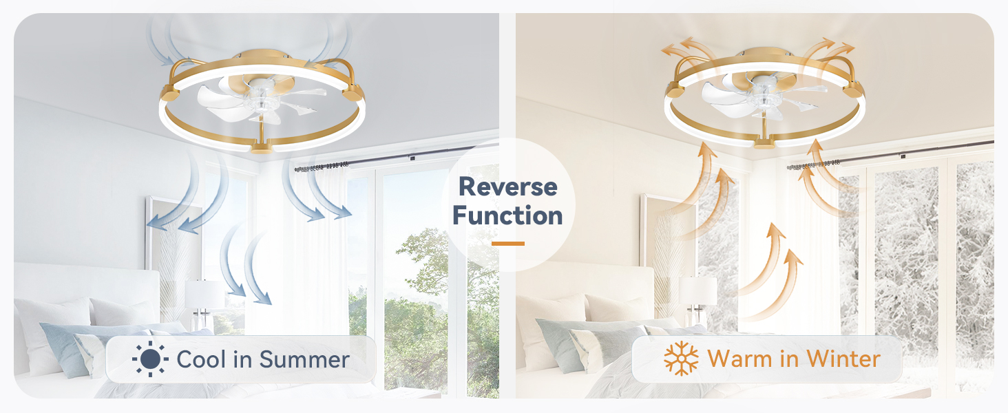 fandelier ceiling fan with light
