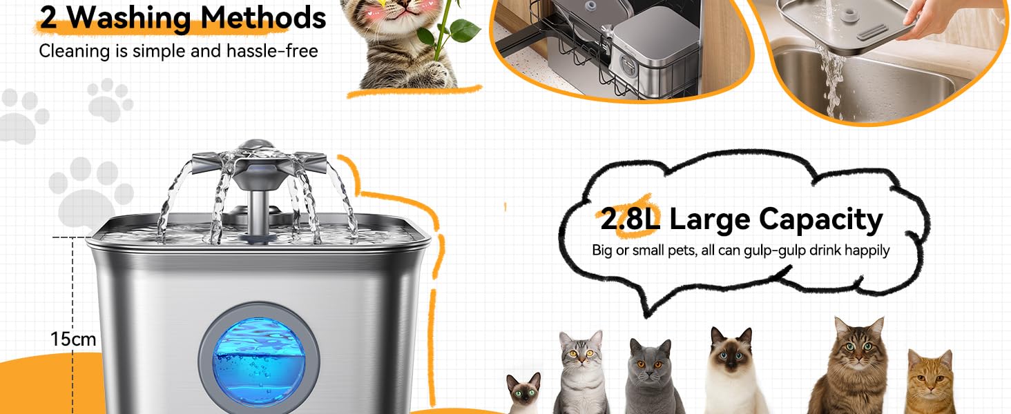 cat drinking fountain