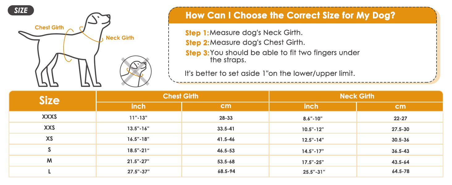 dog car harness size
