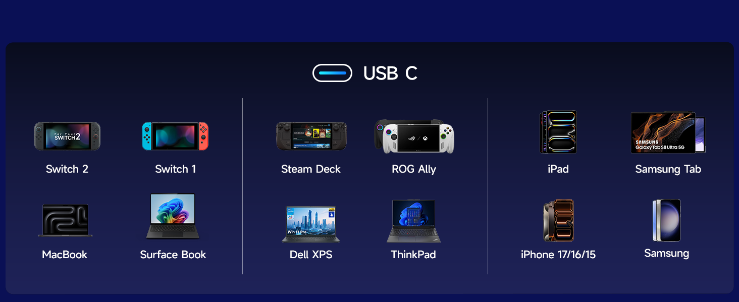 Switch dock