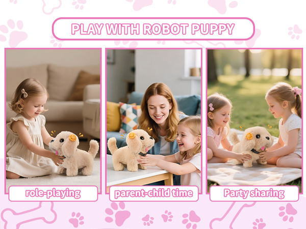 Suitable for Any Occasions