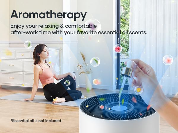 air purifiers with Aromatherapy 