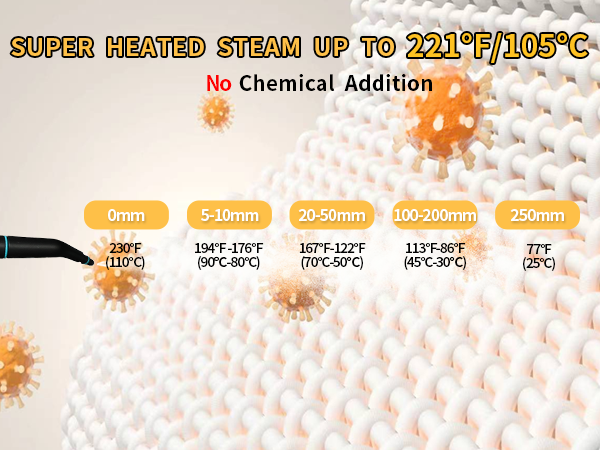 microwave steam cleaner commercial steam cleaner steamer that kills bed bugs