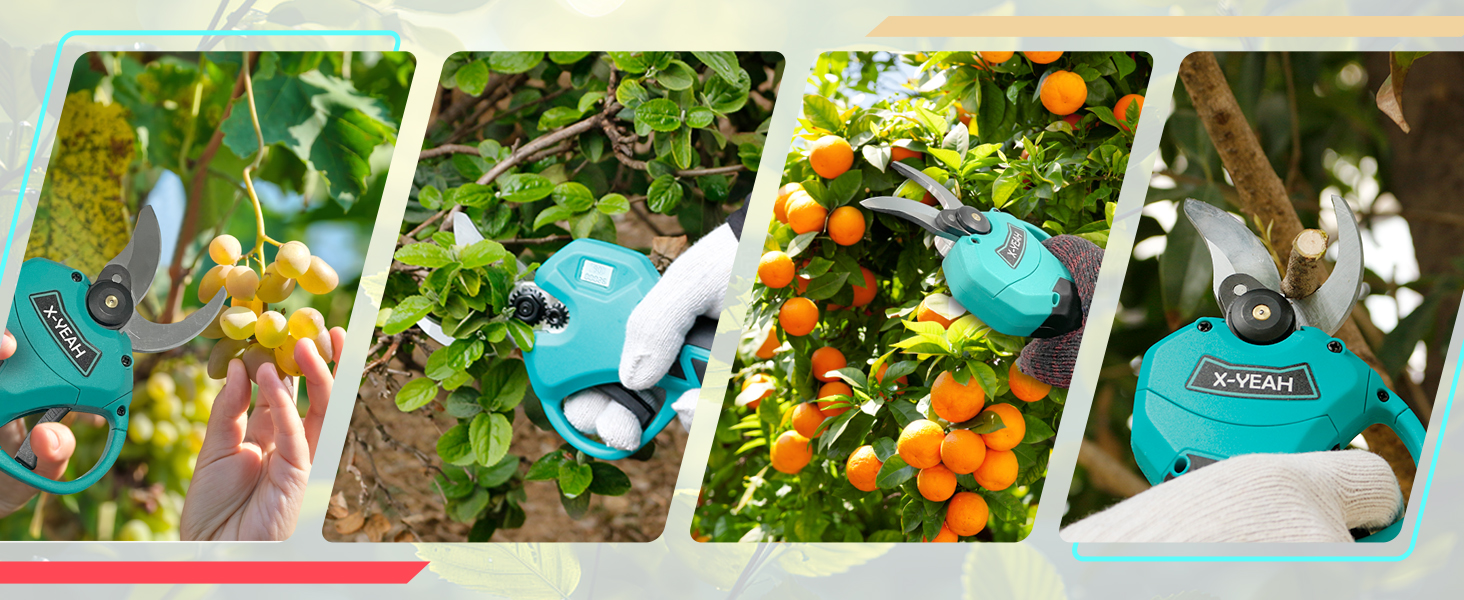 Pruning Shears