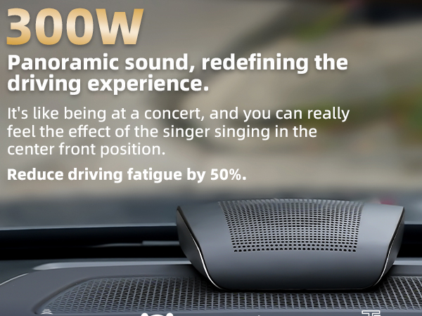 Universal Car Center Channel Speaker