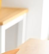 Orange Ninja Knife Honing Rod 10-inch with Adjustable Angle Guides 17° &amp;amp; 20°- Premium Quality Sha...