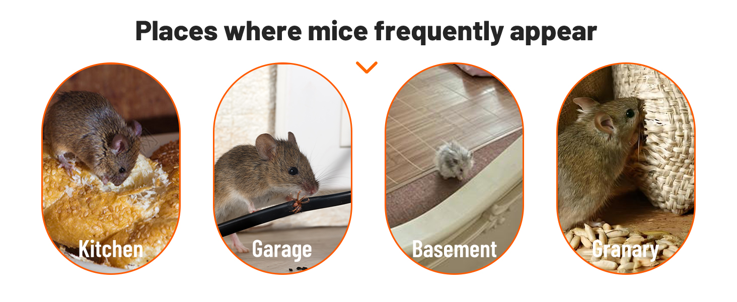 electronic mouse trap