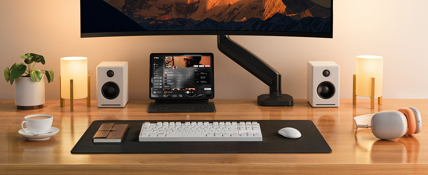 ErGear monitor mount