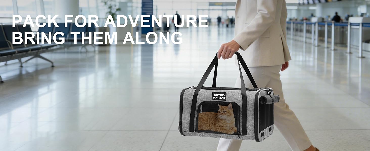 cat carrier grey