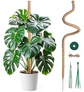 Mcbazel 47 Inch Moss Pole for Plants Monstera, Monstera Plant Support Stick, Bendable Moss Poles ...