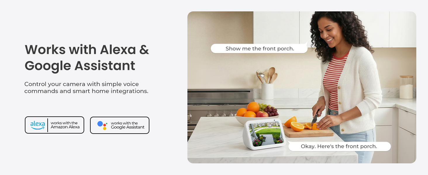 Voice Assistant Integration