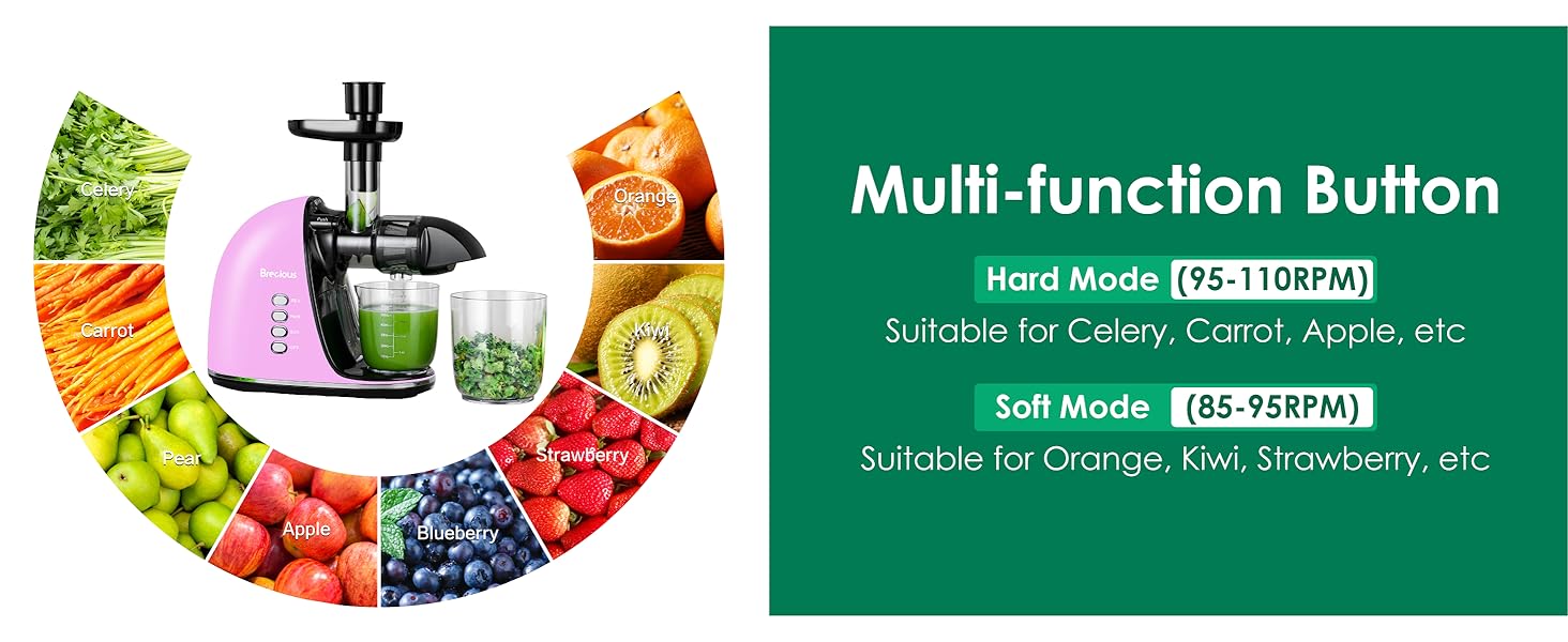 fruit masticating juicer