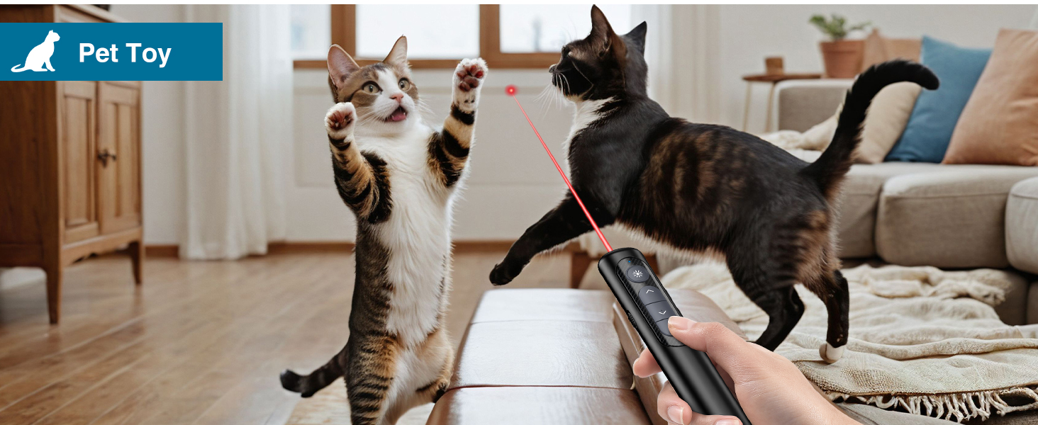 presentation pointer