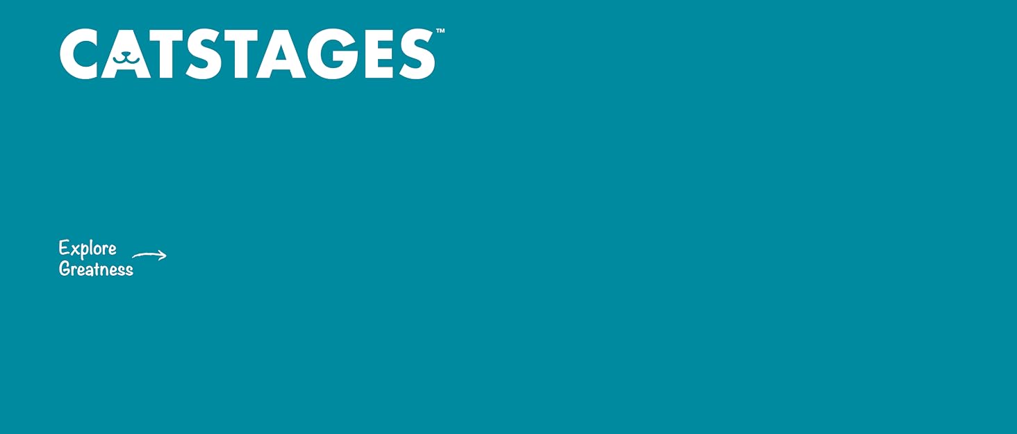 Catstages Background