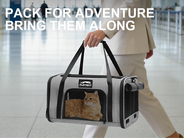 cat carrier grey