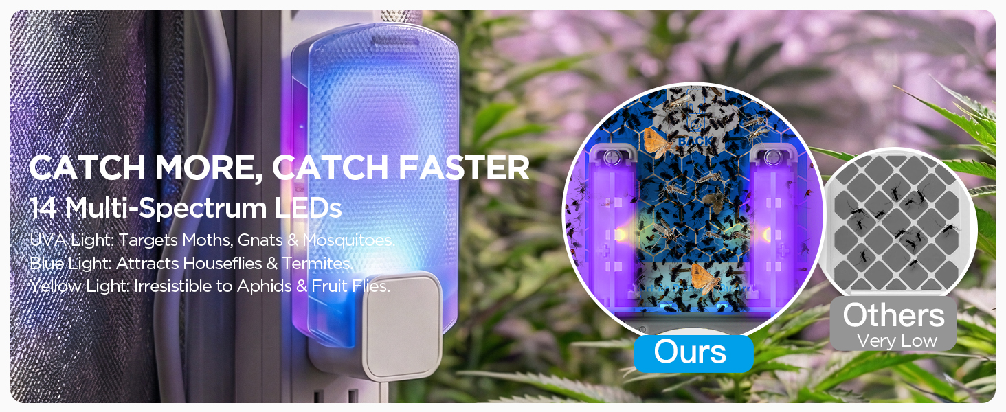 fly killer gnat killer plug in best safe electric flying insect trap fruit fly bug blue UV light