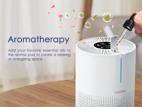 air purifier with aromatherapy 2