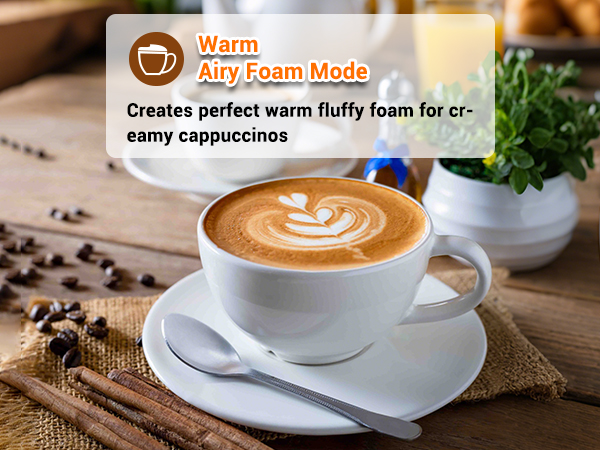 electric milk frother