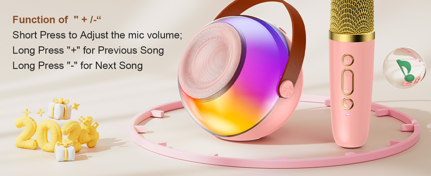 portable karaoke speaker wireless for adults and kids