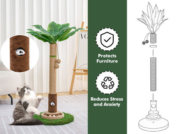 Scratcher with Cat Toy Mouse Hole for Large Cats Adults Cats