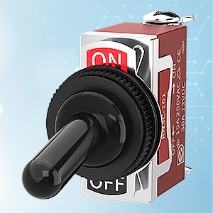 Toggle Switch 12V