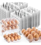 120 Pack Egg Cartons 12 Count, Plastic Egg Cartons Cheap Bulk for Fresh Eggs, Reusable Egg Holder...