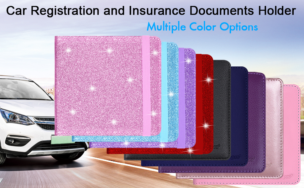 Car Insurance Card Holder