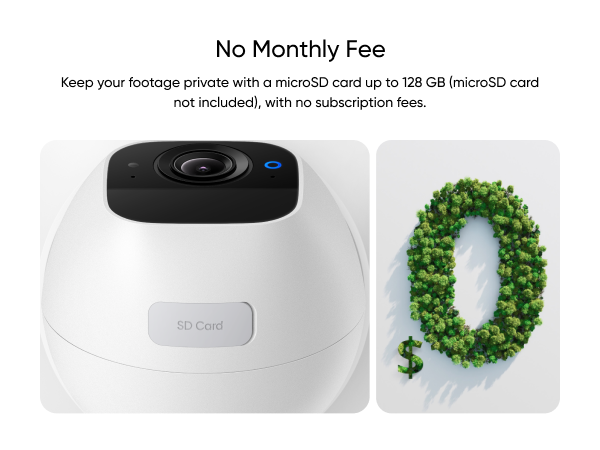 No Monthly Fee
