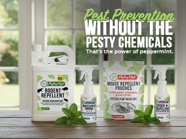 Pest Prevention without the pesty chemicals