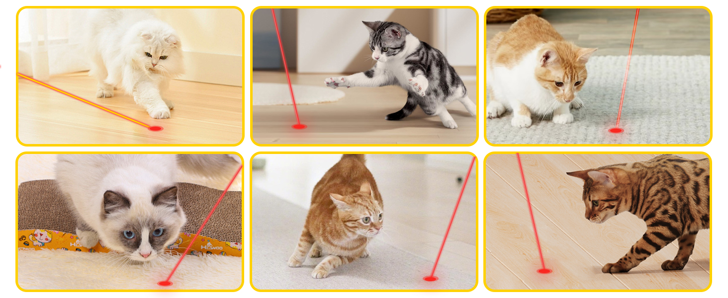 cat toys