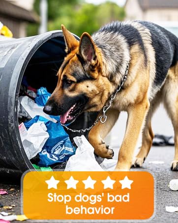 no bark