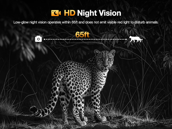 celluar trail cameras