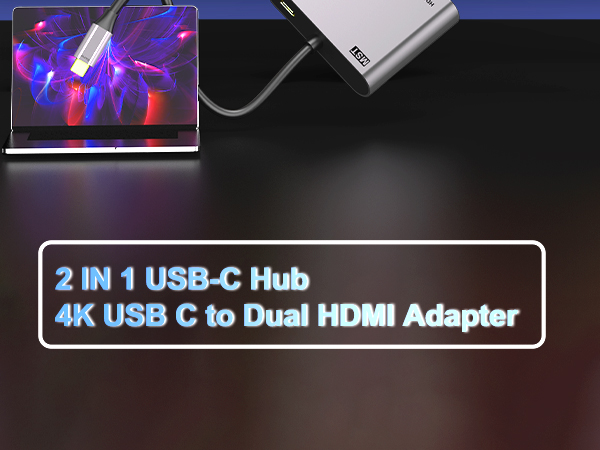 dual monitor adapter2