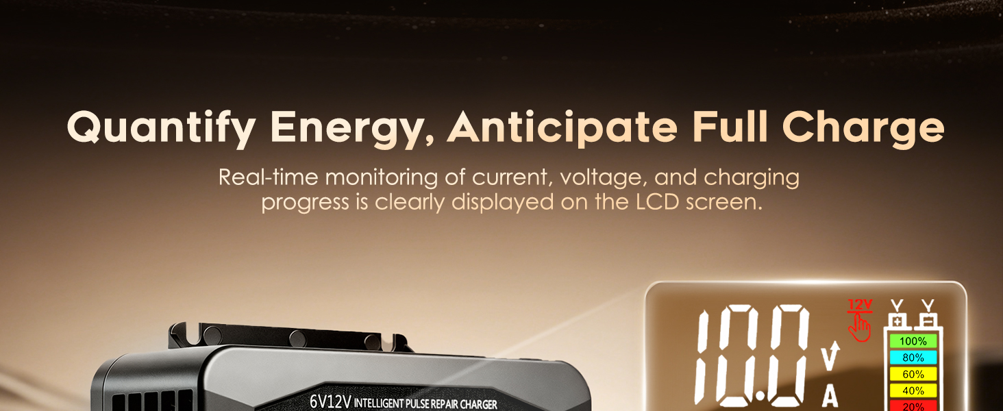 6V/12V Smart Battery Charger