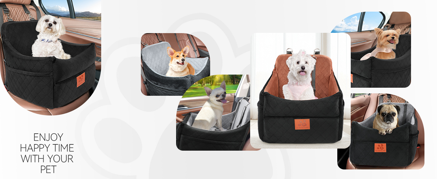 dog seat travel