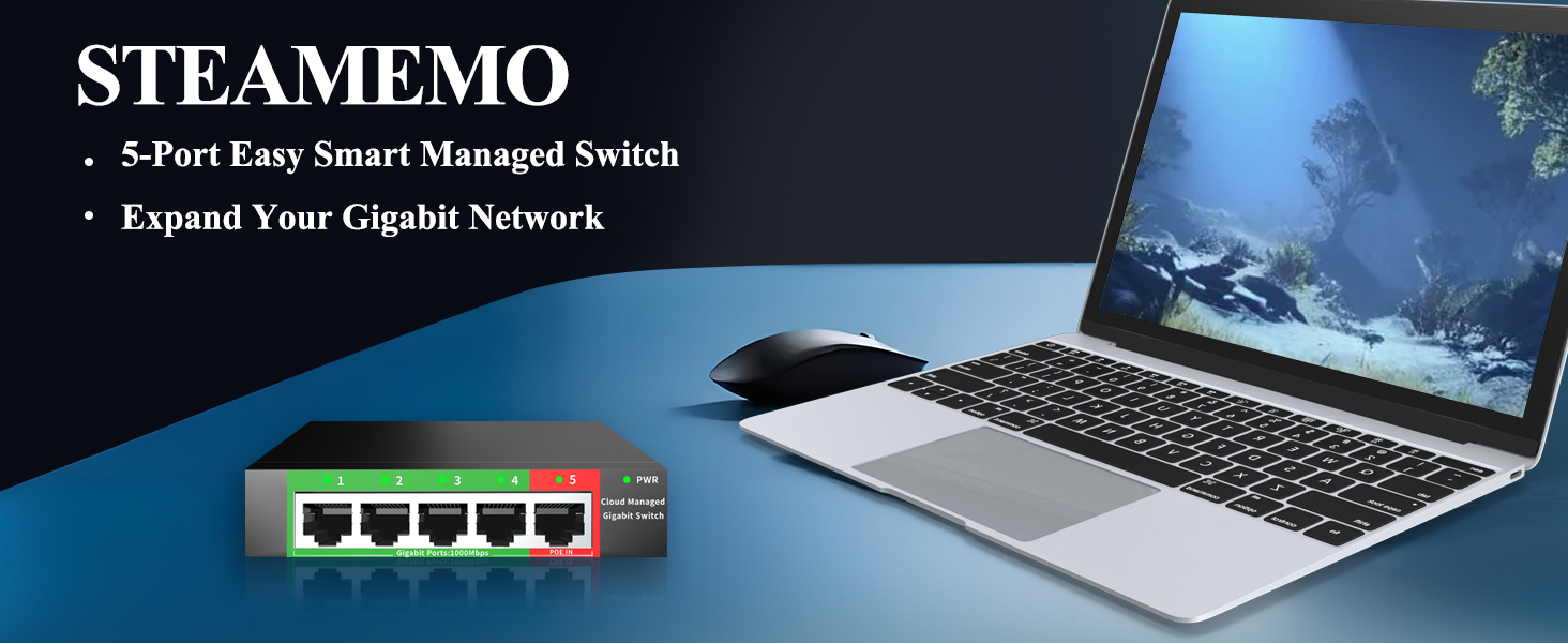 managed switch