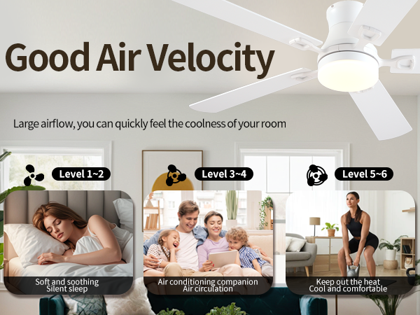 ceiling fan