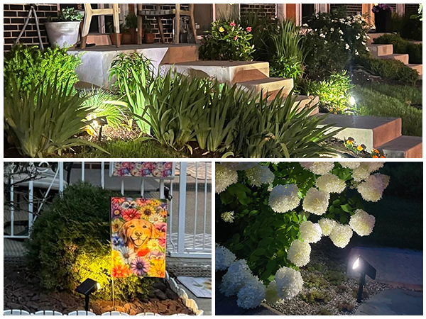 Solar Spot Lights Outdoor