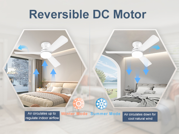 ceiling fans