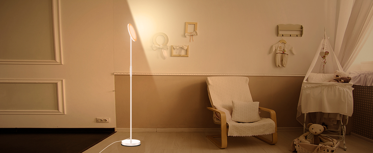 Modern Floor Lamp